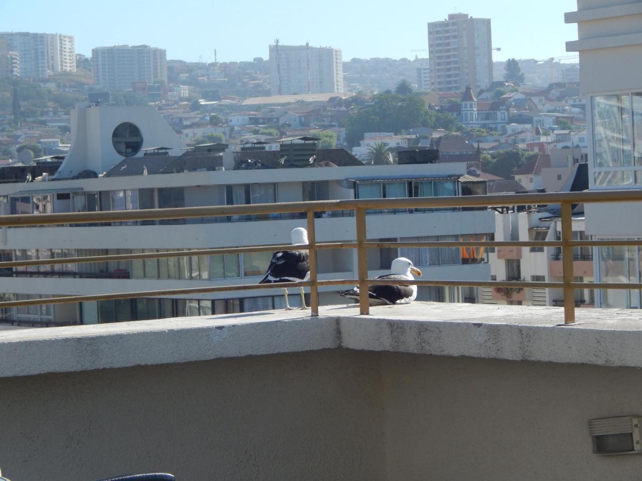 דירות וינה דל מר 1201 Departamento Vs Centro Vina מראה חיצוני תמונה